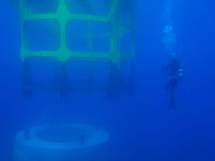 13487552_591444924366109_1937352411_n