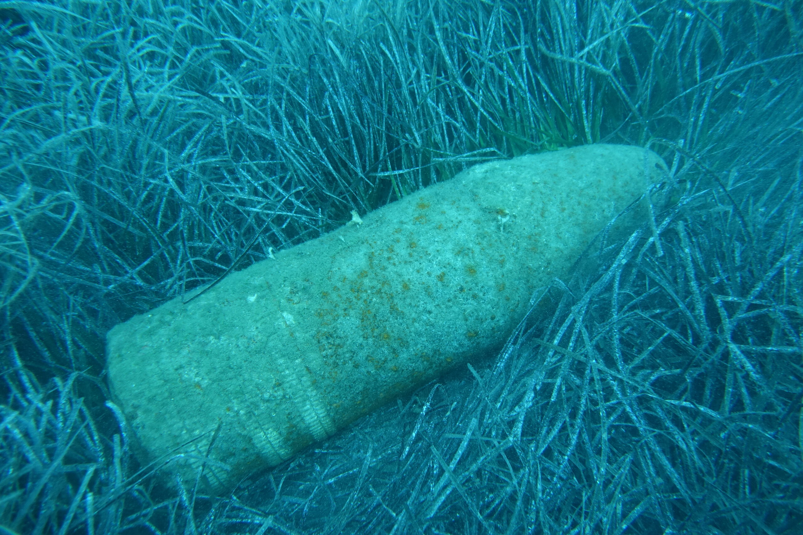 DSC04780