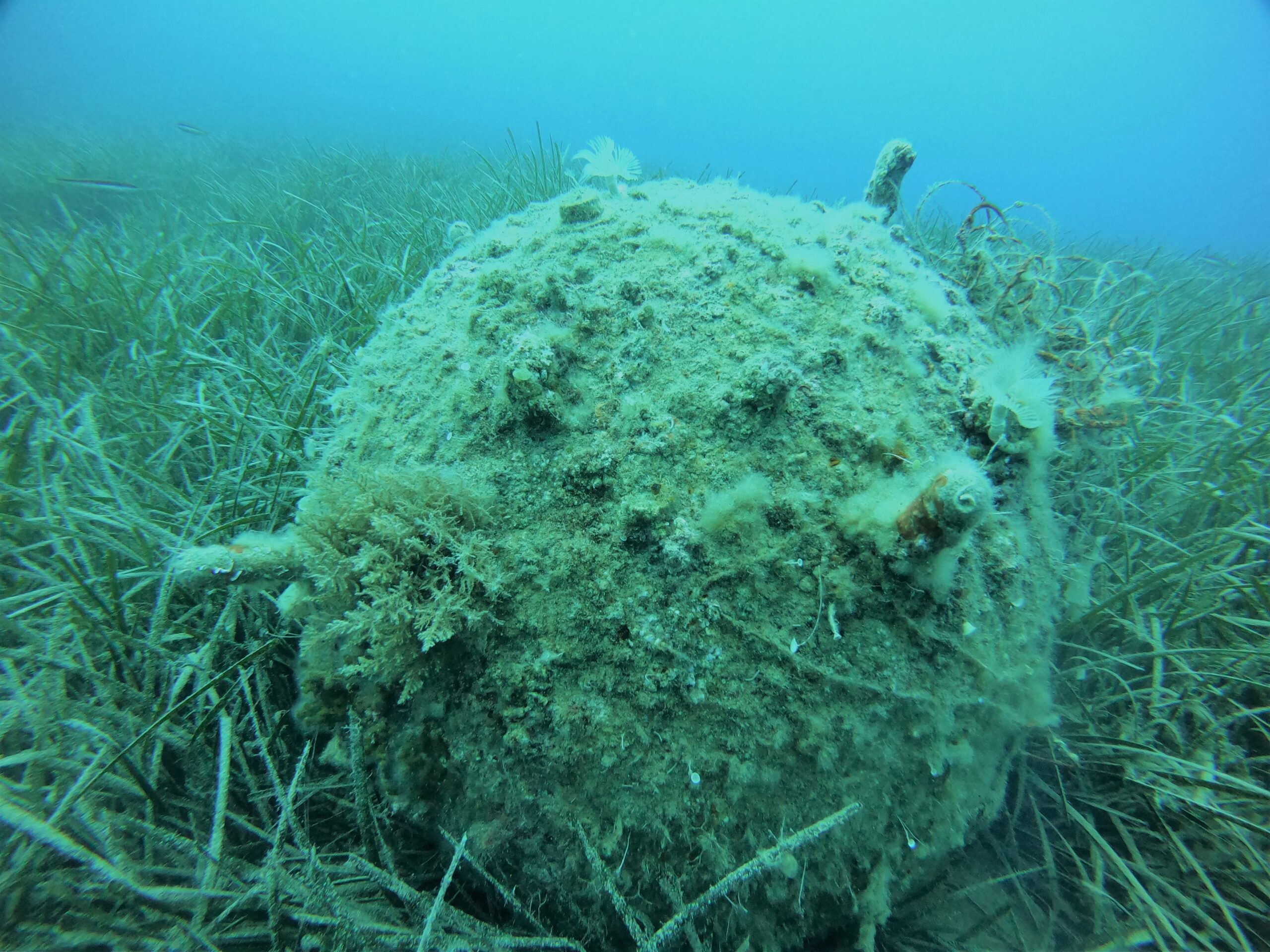 DCIM100GOPROGOPR4328.JPG