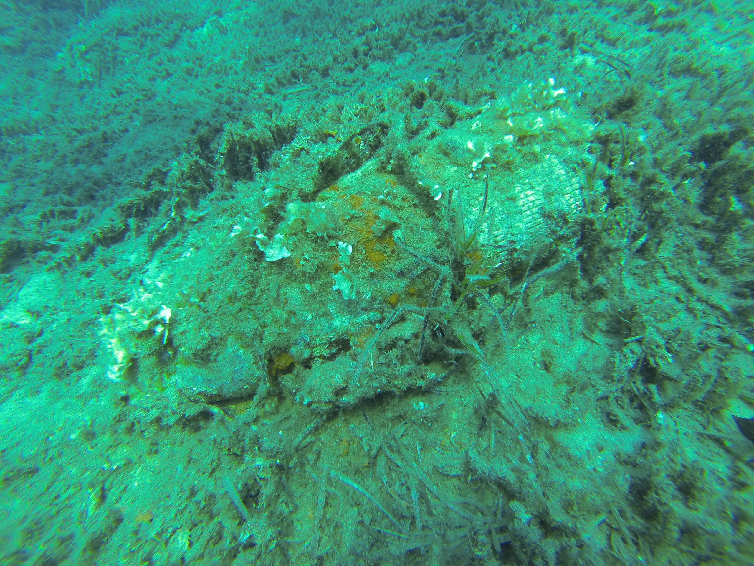 DCIM101GOPRO