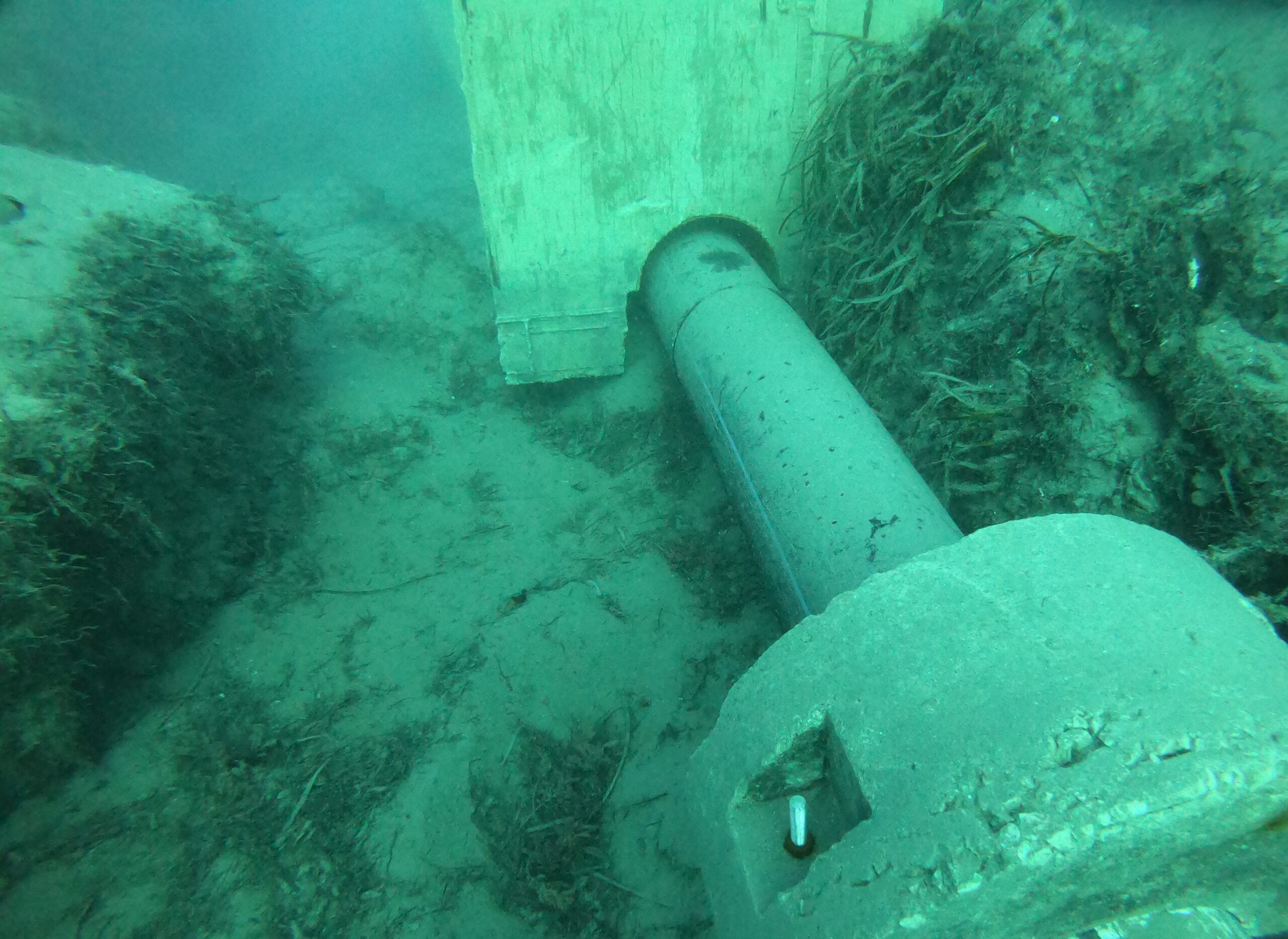 DCIM100GOPROGOPR4962.JPG
