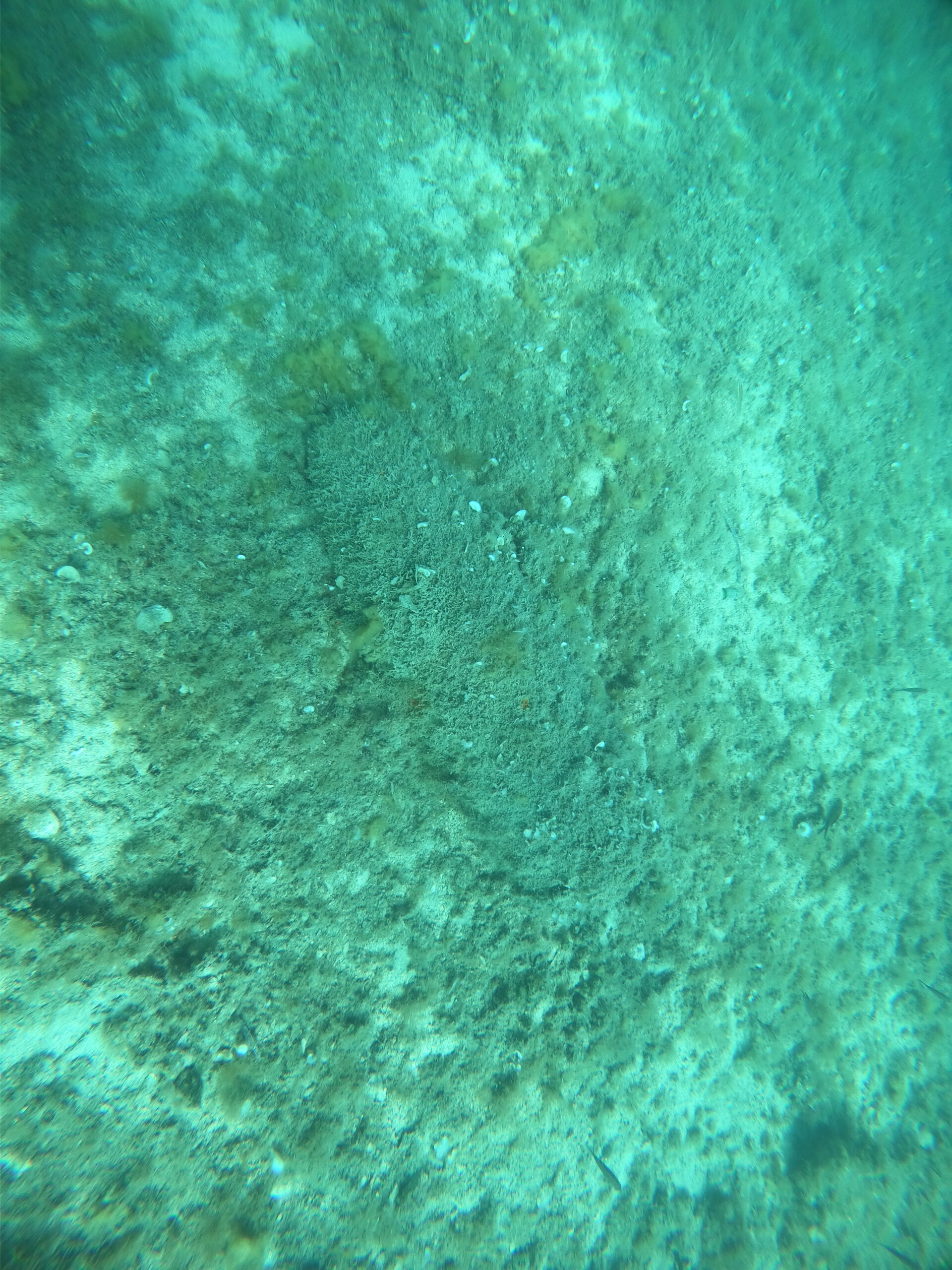 DCIM100GOPROGOPR8363.JPG