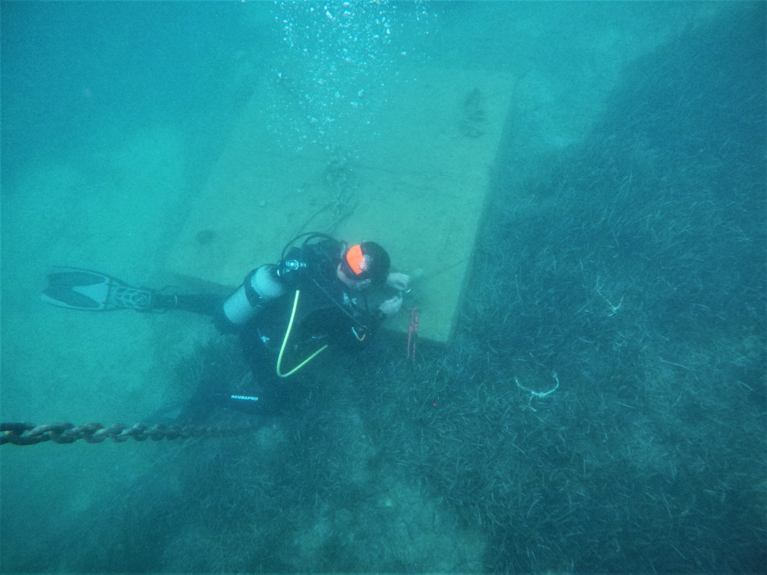 DCIM102GOPROGOPR9455.JPG